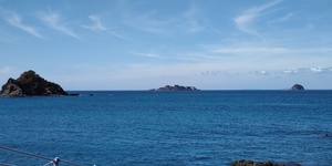4-s-2.jpg